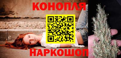 прущие крисы Будённовск
