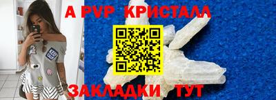 прущие крисы Будённовск