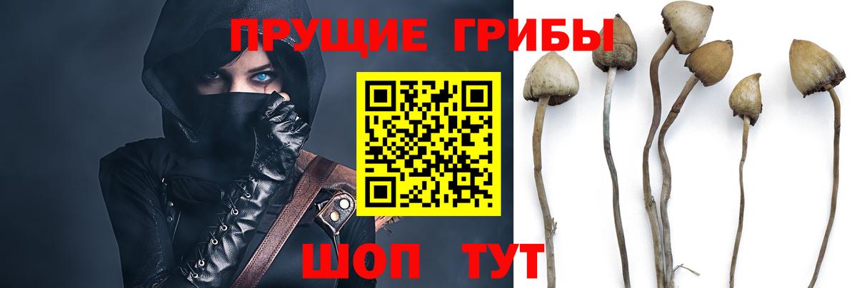 Мурманск  Галлюциногенные грибы Psilocybe  Галлюциногенные грибы Cubensis  Вход с VPN 